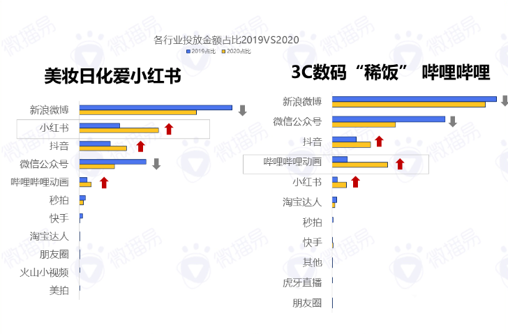 2020年度KOL社交媒体投放报告